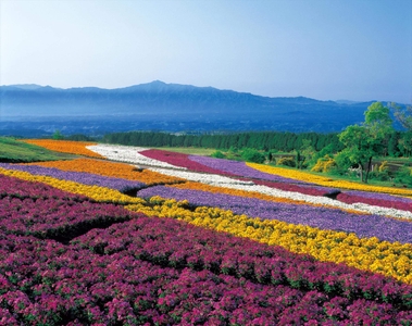 BXZDIuyADtEOzK5iDwwQ.jpg?w=940&h=940