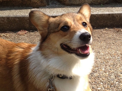 BZOJXPHxq5gOxx1fjIVn.jpeg?w=940&h=940