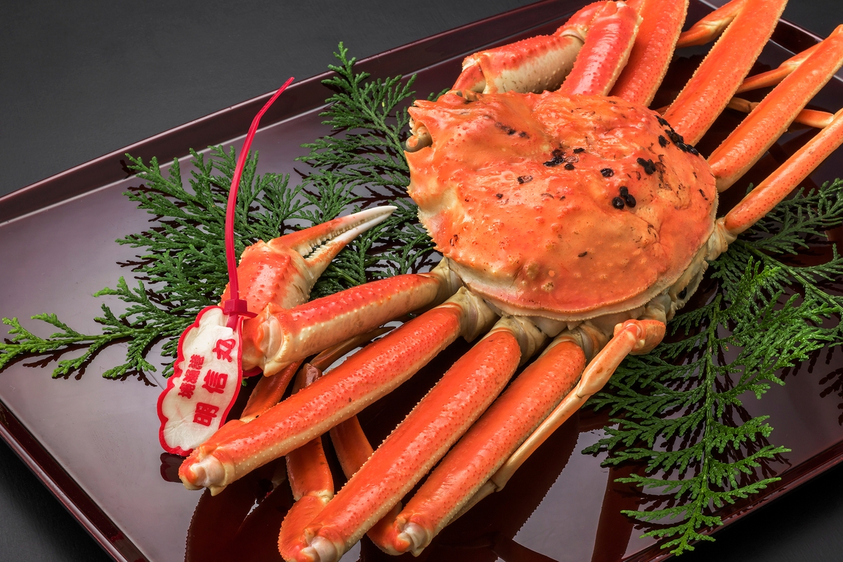 【蟹と温泉】2025初旅 丹後の地酒とタグ付き松葉蟹で祝う新年の宴 海の京都・夕日ヶ浦温泉「一望館 はなれ櫂」