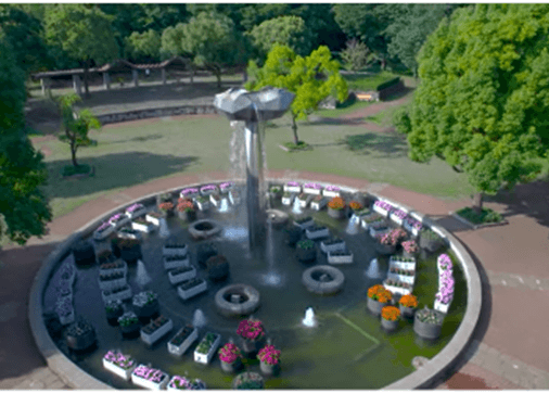 モニュメント噴水水中花壇(昨年の様子)