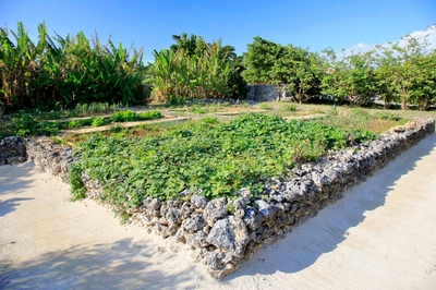 BbMwjIfPDIr99TUFe0Sh.jpg?w=940&h=940