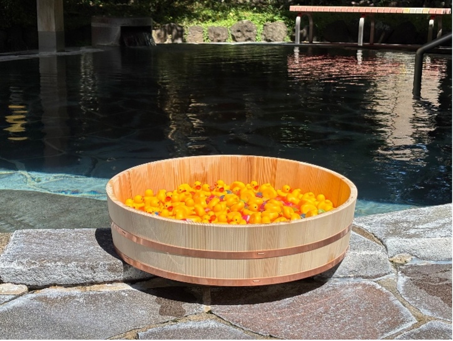 卵をお得にゲット!アヒル救出大作戦!!