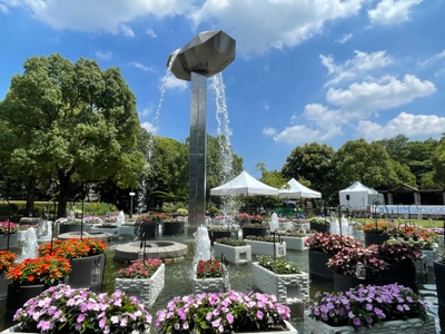 府中の森公園　サンパチェンス水中花壇（昨年の様子）