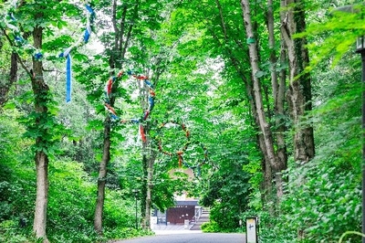 Bf6L6u1ZFQ156GVDBGr4.jpeg?w=940&h=940