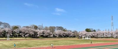 BfLsLs0Pe6eXj0koA3S3.jpg?w=940&h=940