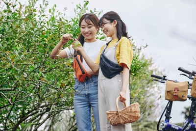 BgCPHHrcXVspfKOxRqcZ.jpg?w=940&h=940