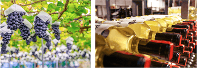 Bhh0PrsYkhD0uZnO2vQ4.png?w=940&h=940