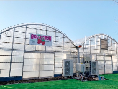 BilGA2t2wvNTmcuzhqvR.jpg?w=940&h=940