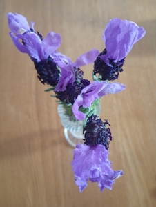 BlciGrDW2gwTc5DyXBKk.jpg?w=940&h=940