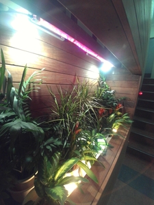 BnAbwpvLSn6FiEPhC1mq.jpg?w=940&h=940