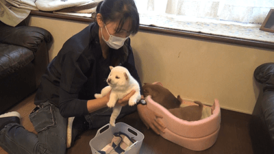 BndHdHJG3KnL99z6c4Rw.png?w=940&h=940