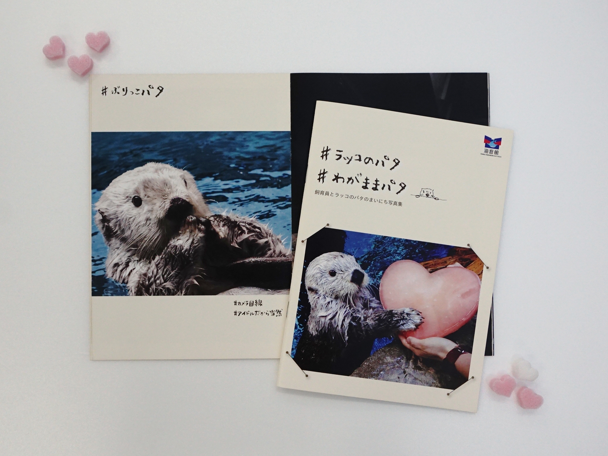 タグ付き　海遊館　親子　ラッコ　首可動ギミック　レトロ　レア BoAh6Ra8KXQZmrSoLv3E.jpg