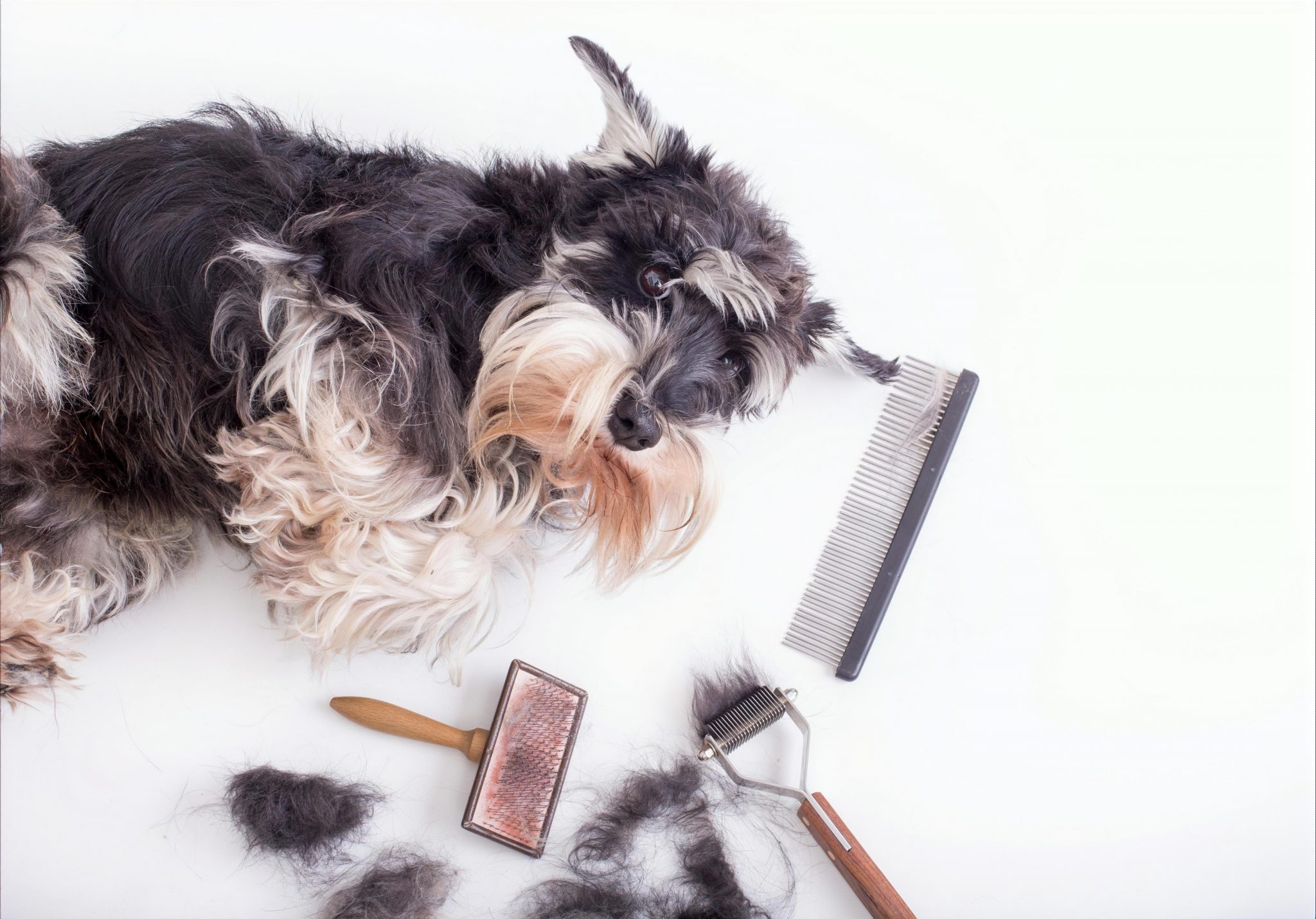 耳掃除をするにはいくつか必要な道具があります。それぞれ用意しておくと便利な道具をご紹介いたします。