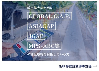 GAP等認証取得等支援