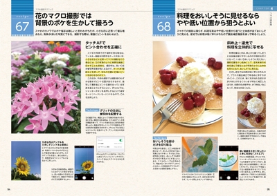 Bq9i9SfoGNTqdQ9JfDW9.jpg?w=940&h=940