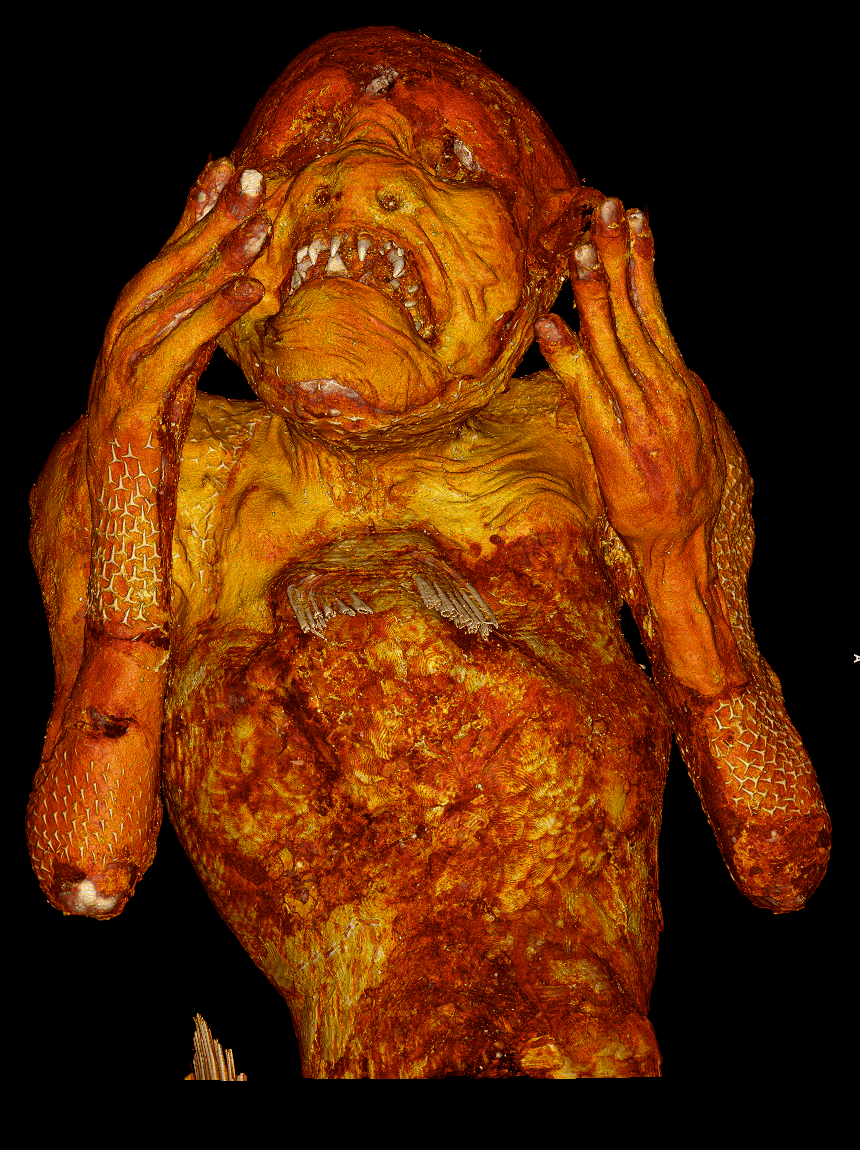 図9:人魚上半身の3D再構成画像