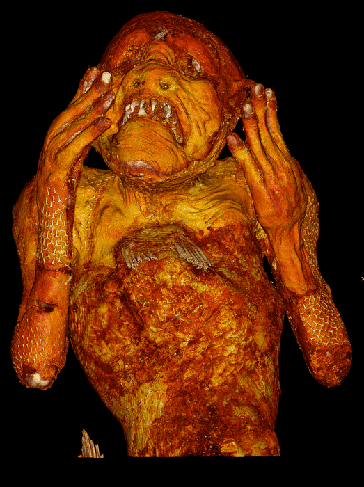 図9:人魚上半身の3D再構成画像