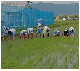 BrWG2hX8YhzH8Tj5KJlj.jpg?w=940&h=940