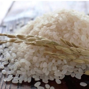 Bsadpt2Hyd4Id5ETztry.jpg?w=940&h=940