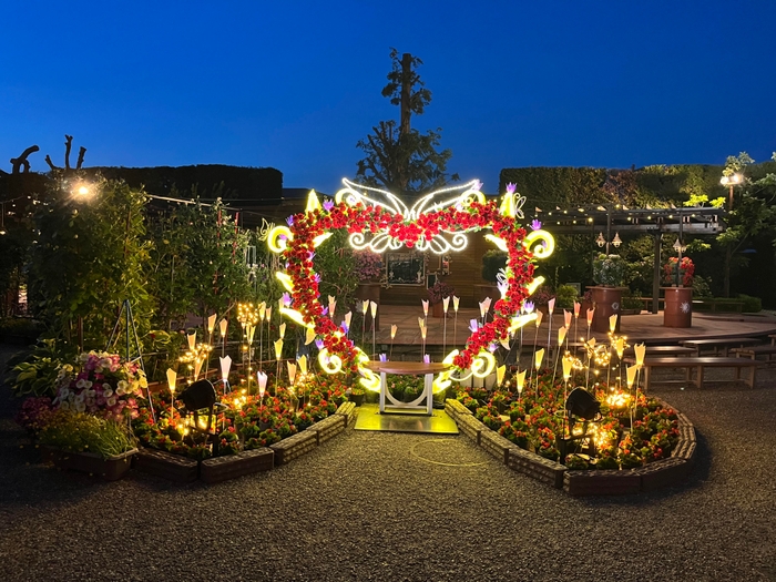 フォトスポットイメージ (過去写真のためデザインが一部異なります。)