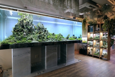 Bsj18Rzz57TIa3COYrFK.jpg?w=940&h=940