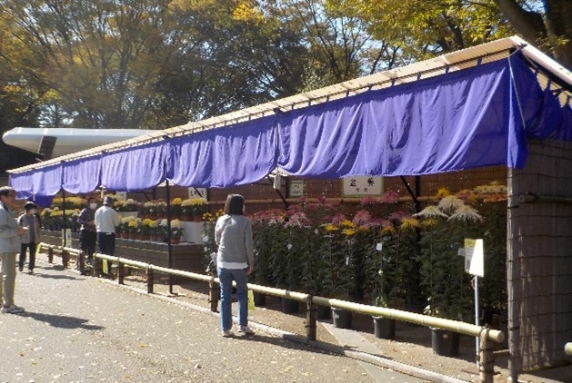 展示の様子(令和4年度撮影)