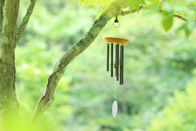 BtccnigPVJz2Gq2O20Pn.jpg?w=940&h=940