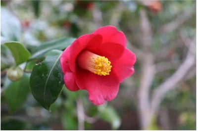 Buo28tsyPctHWugMfgiu.jpg?w=940&h=940