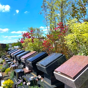 BvOXvy3TTNe1Y4D4fXBy.jpg?w=940&h=940