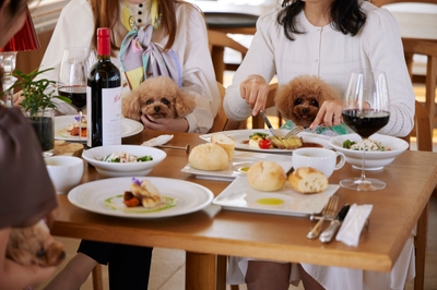 BvTefcjKhGY5xvjvj0se.jpg?w=940&h=940