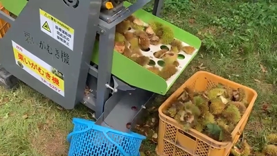 栗のいが剥きを劇的に効率化！「栗いがむき機 HRK-MK01」 数量限定で6月2日新発売！