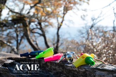 BwCSZYeh3qogKGlq7mbc.jpg?w=940&h=940