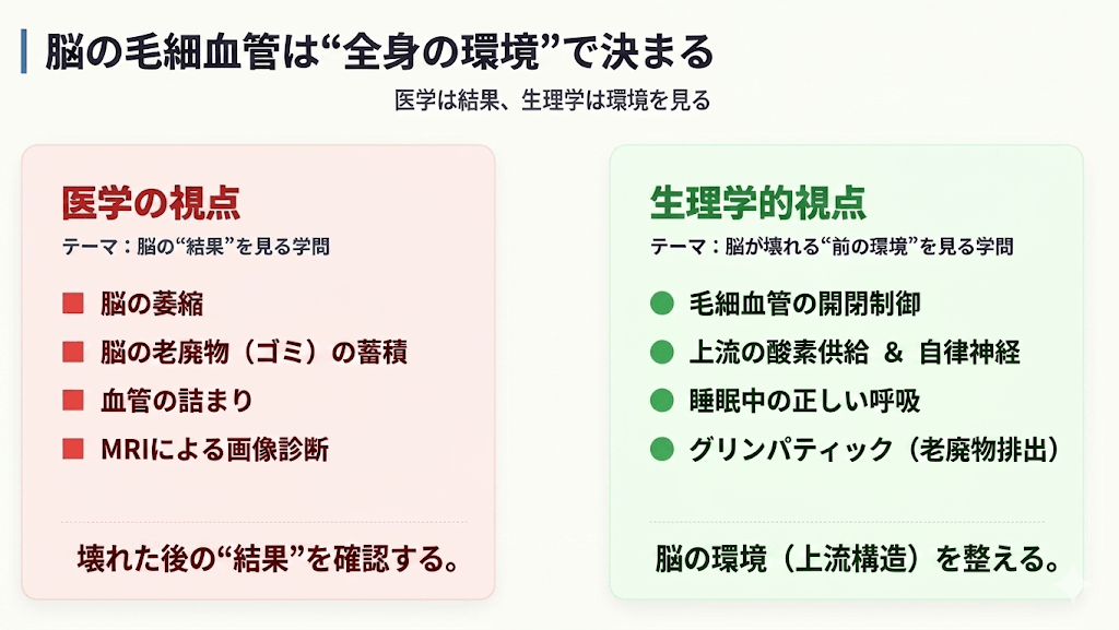 🟥脳の毛細血管──なぜ現代人は毛細血管機能が低下しやすいのか【認知症第2回】
