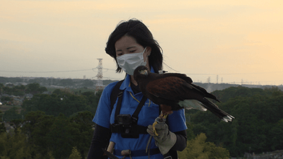 BxFF8aHiOB7UhGCnh9uB.png?w=940&h=940