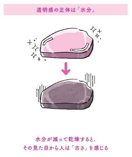 透明感の正体は「水分」 (本書57ページより/イラスト:千坂まこ)