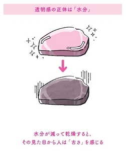 透明感の正体は「水分」　（本書57ページより／イラスト：千坂まこ）