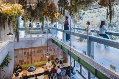 By6gbwymFhexoupOl2cB.jpg?w=940&h=940