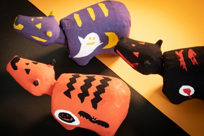 ByZ3i9RA19LP7ukRer3s.jpg?w=940&h=940