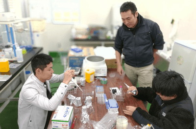 水質調査実験の様子