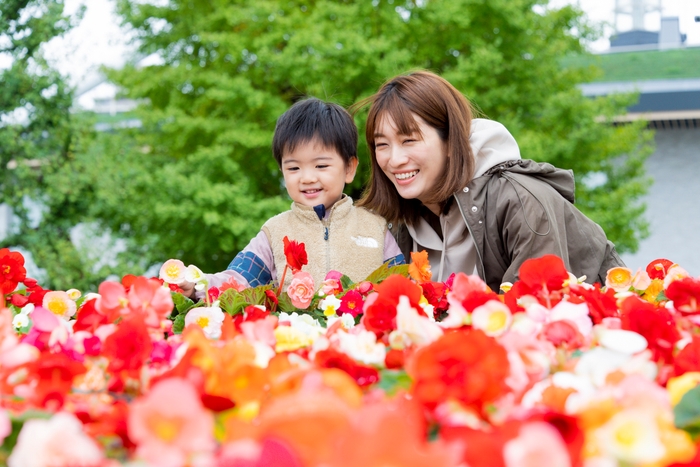 特設花壇(イメージ)