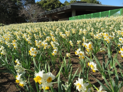 C16oa0wQ9U9j6y0Ux9RT.jpg?w=940&h=940