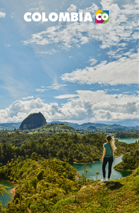 C2FC4fo59welIxwp0uQp.png?w=940&h=940