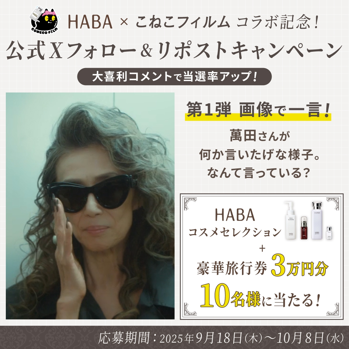 HABA×こねこフィルムコラボ記念!公式Xフォロー&リポストキャンペーン