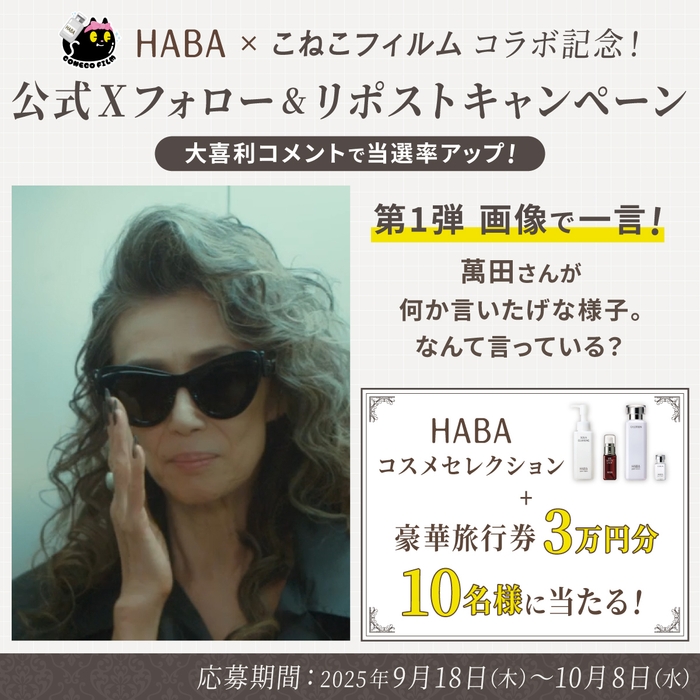 HABA×こねこフィルムコラボ記念!公式Xフォロー&リポストキャンペーン