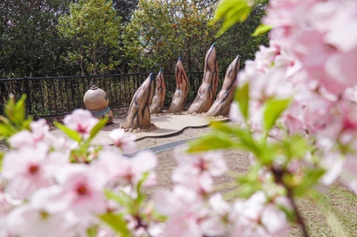 C2hXWmDliShQS5ldRxgS.jpeg?w=940&h=940