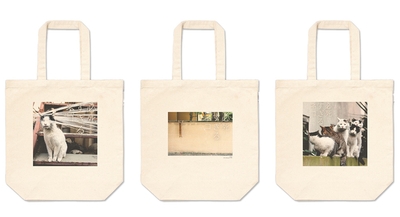 C2mKnB62M3wpkQI95uwB.jpg?w=940&h=940