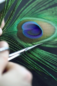 C2xvJzp3h6epJ2t08r2H.jpg?w=940&h=940