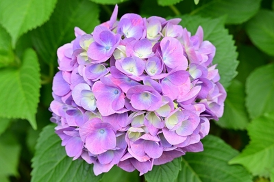 C30mZl2rNNzPUREX8SNU.jpg?w=940&h=940