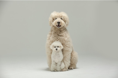 C3a6cQX29HbW6YNNtpZv.jpg?w=940&h=940