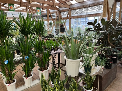 C3bPOf6XEbbJtyWZwXzU.jpg?w=940&h=940